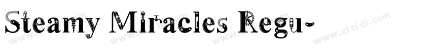 Steamy Miracles Regu字体转换